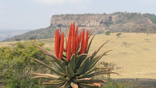 Cumberland Nature Reserve